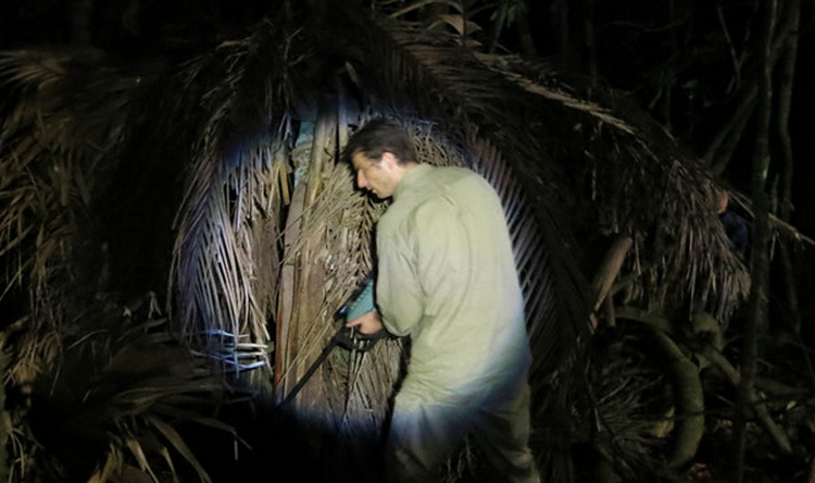 Фото - Джунгли: 750x444 / 478.53 Кб