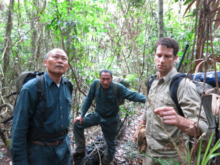 Фото - Джунгли: 850x637 / 237.13 Кб