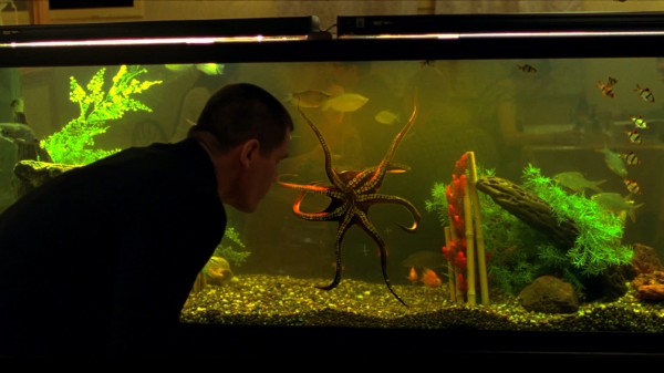 Фото - Олдбой: 600x337 / 46 Кб