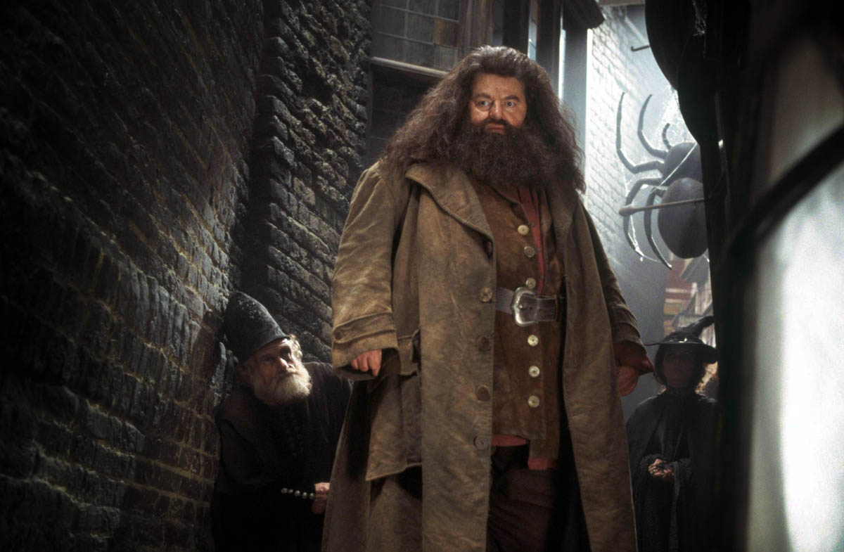 Фото - Гарри Поттер и философский камень: 1200x785 / 128.65 Кб