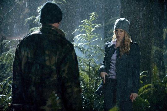 Фото - Культ: 532x354 / 42 Кб