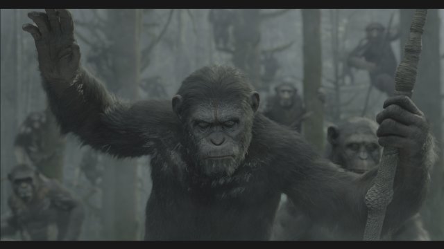 Фото - Планета обезьян: Революция: 640x360 / 23 Кб