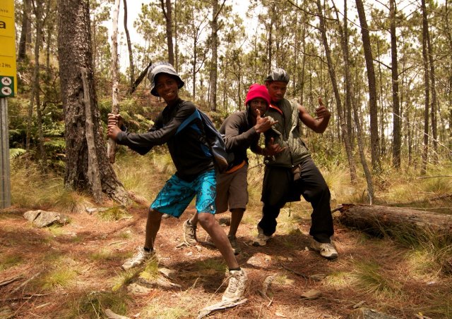 Фото - : 640x453 / 116 Кб