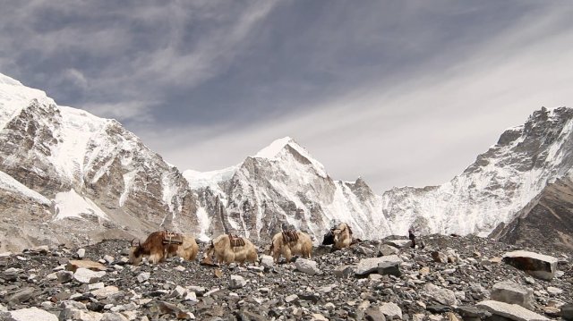 Фото - : 640x359 / 64 Кб