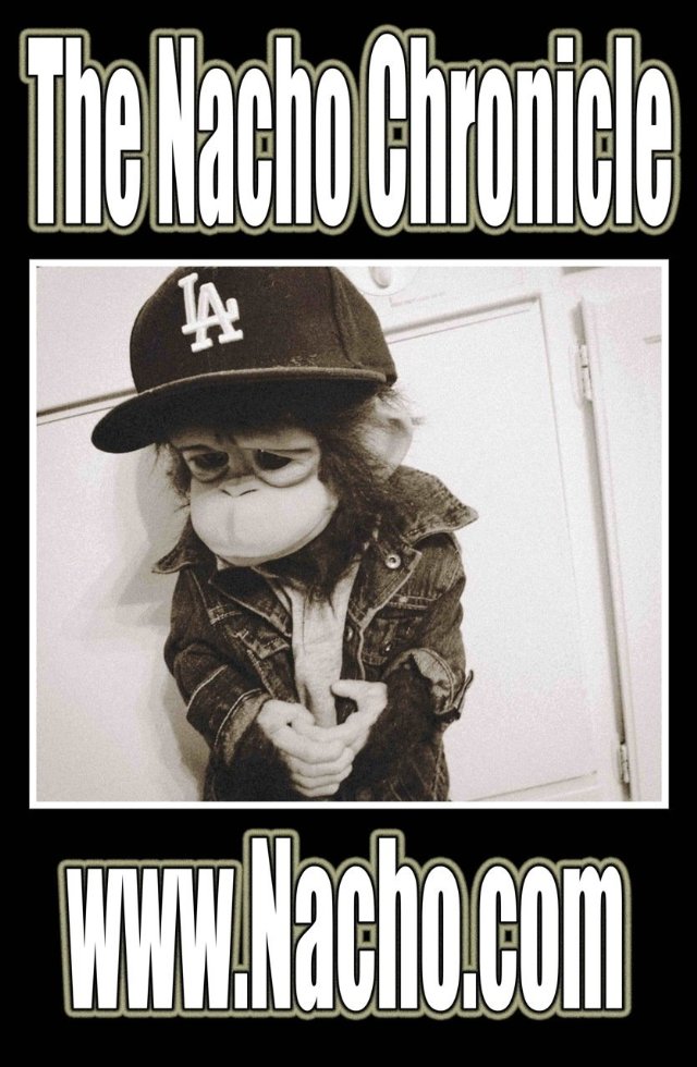 Фото - The Nacho Chronicle: 640x980 / 106 Кб