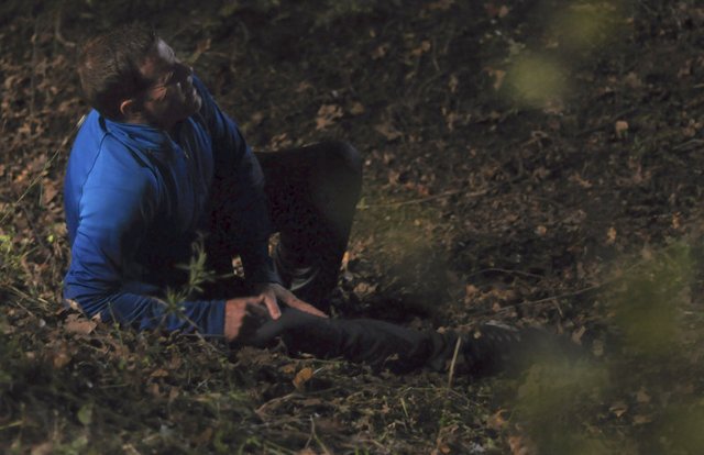 Фото - : 640x414 / 46 Кб