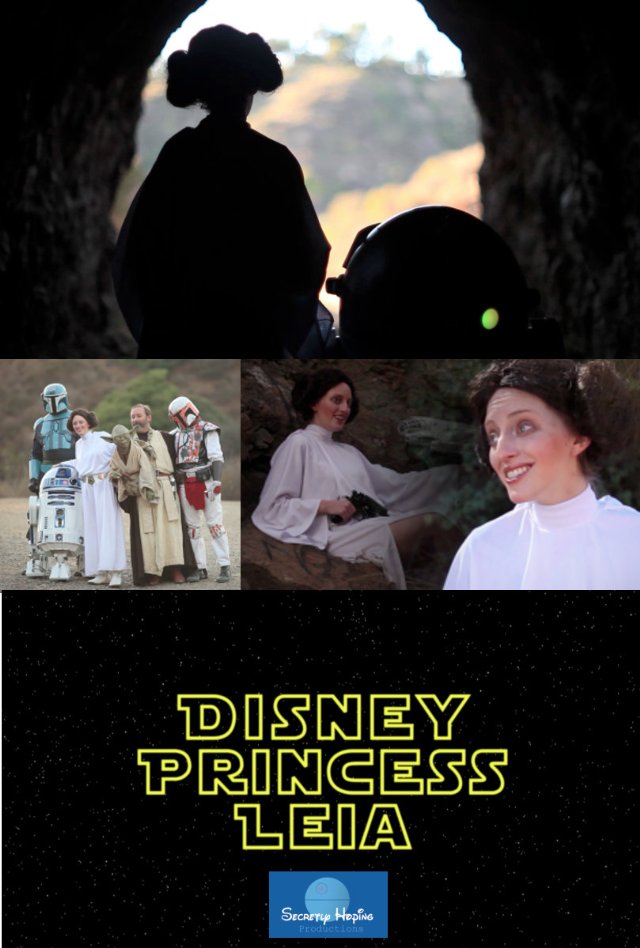 Фото - Disney Princess Leia: Part of Han's World: 640x948 / 86 Кб