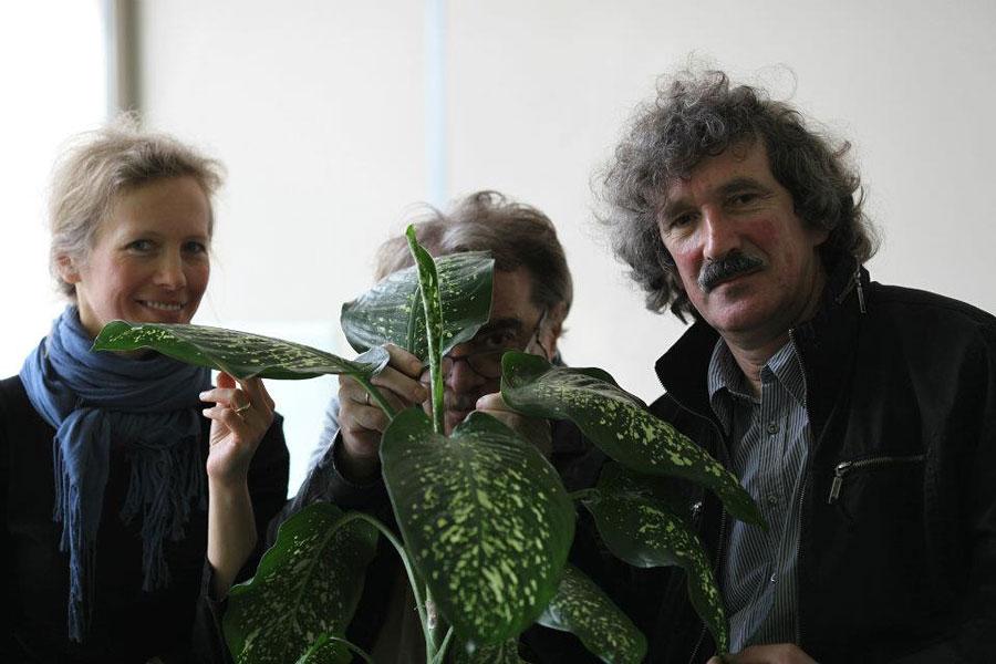 Фото - Собачий рай: 900x600 / 64.49 Кб