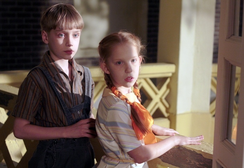 Фото - Собачий рай: 800x551 / 127.87 Кб