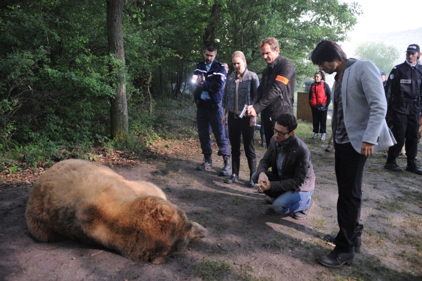 Фото - Оборотень: 850x566 / 198.52 Кб