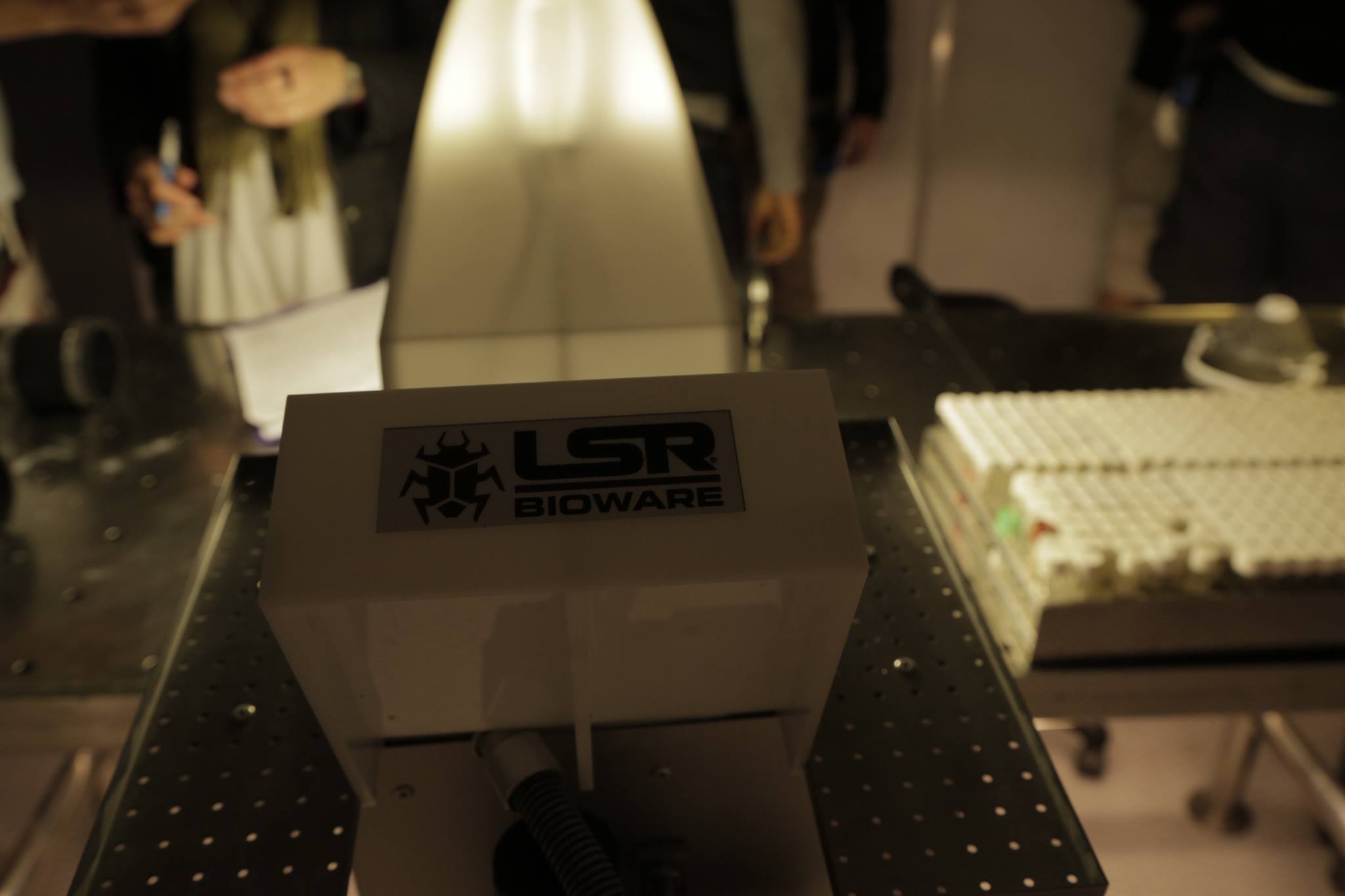 Фото - Аномалия: 2048x1365 / 99.38 Кб