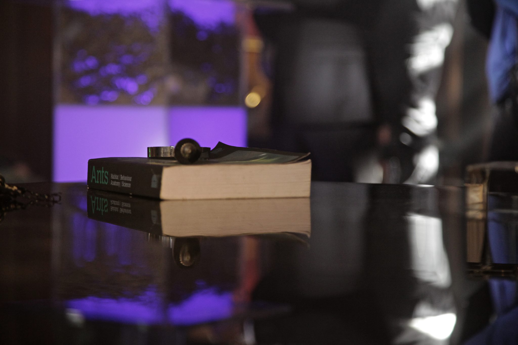 Фото - Аномалия: 2048x1365 / 199.62 Кб