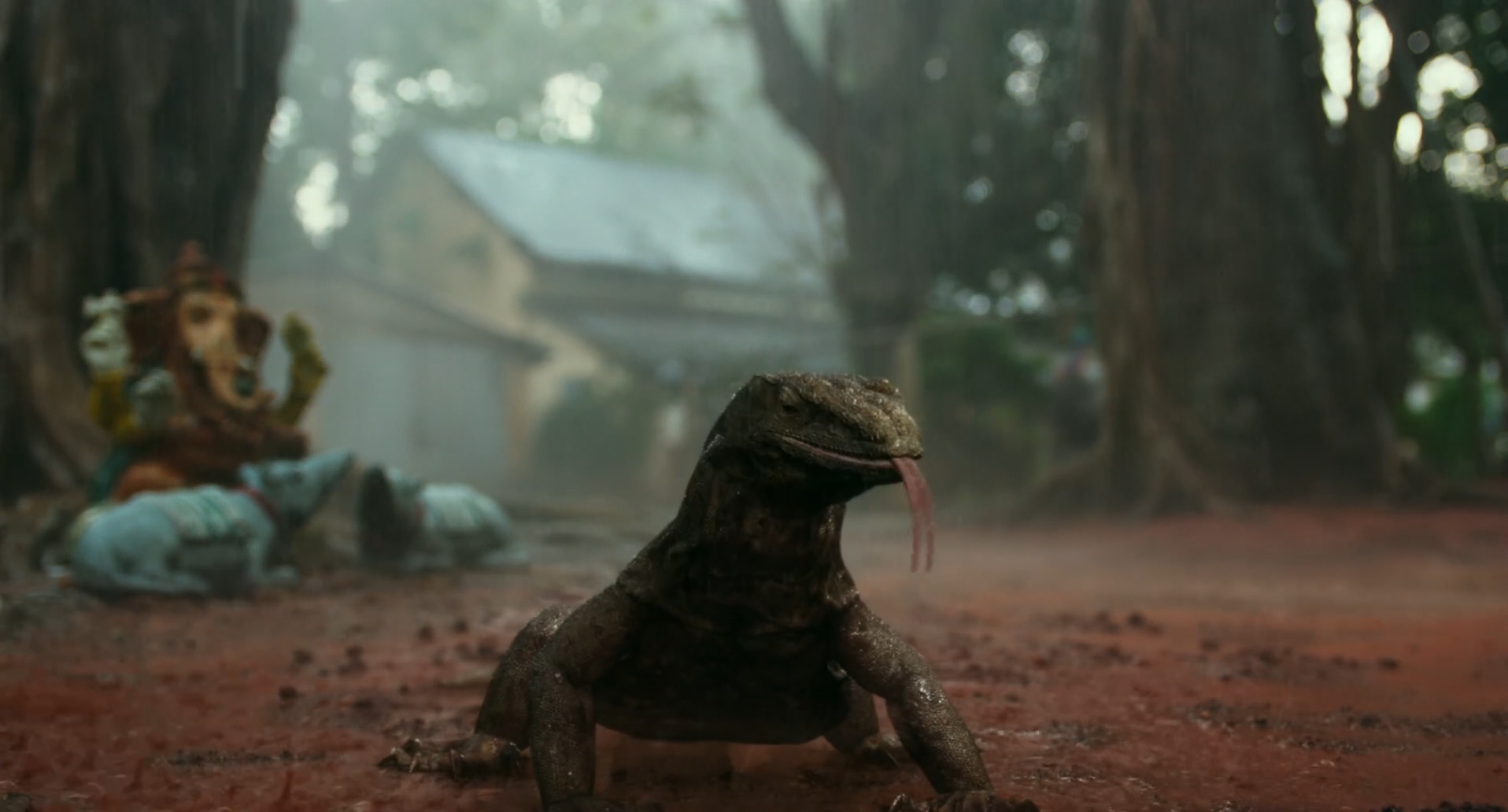 Фото - Жизнь Пи: 1916x1032 / 744.65 Кб