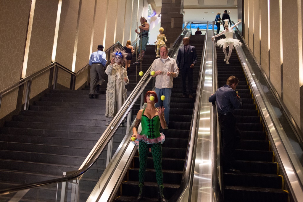 Фото - Starперцы: 1024x683 / 271.15 Кб