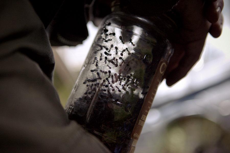 Фото - Потерпевший: 900x600 / 55.76 Кб
