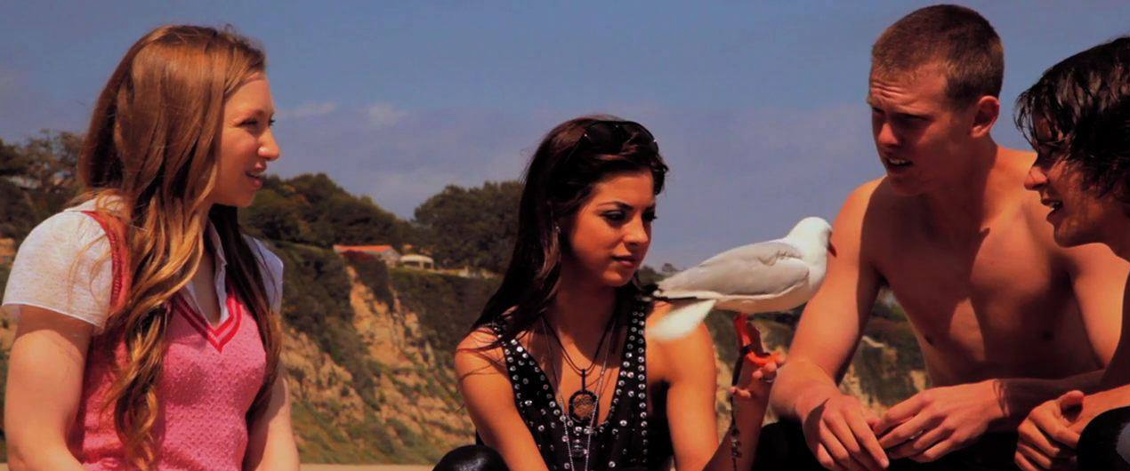 Фото - Отвязная Калифорния: 1270x530 / 184.33 Кб