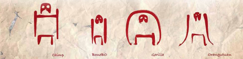 Фото - Планета обезьян: Революция: 800x195 / 104.15 Кб