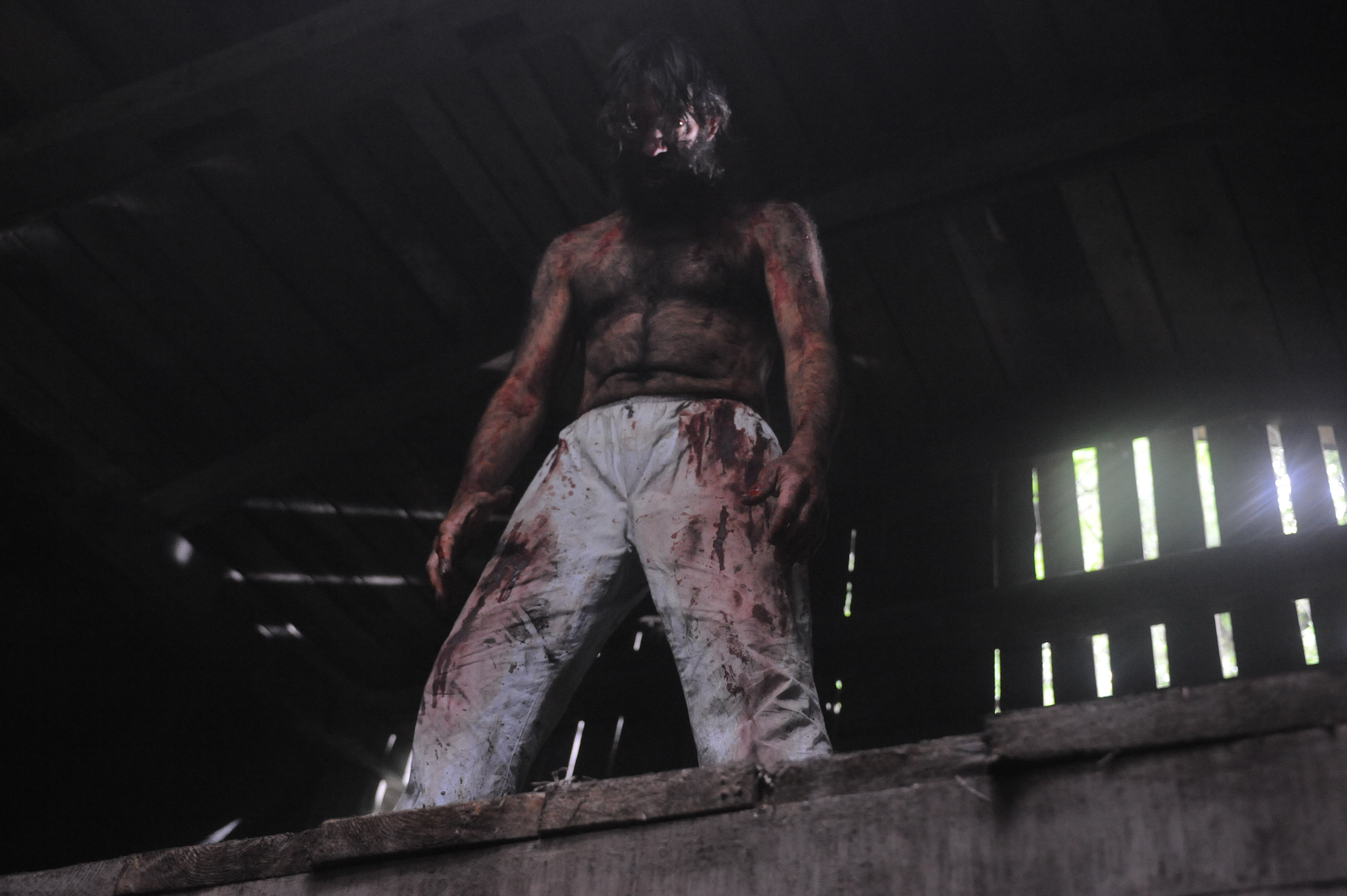 Фото - Оборотень: 4256x2832 / 933.1 Кб