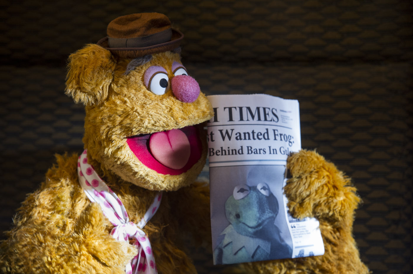 Фото - Маппеты 2: 1400x931 / 192.79 Кб