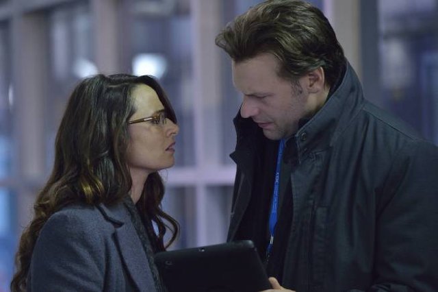 Фото - Штамм: 640x426 / 34 Кб