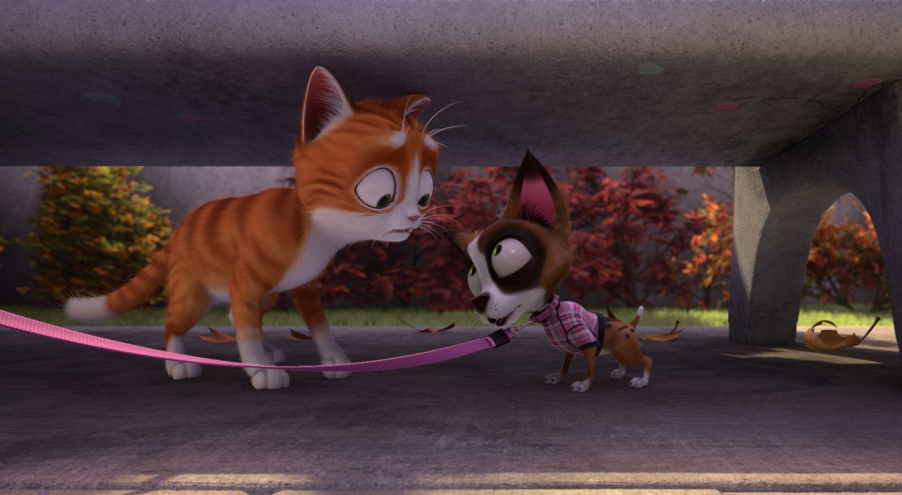 Фото - Кот Гром и заколдованный дом: 1280x703 / 132.57 Кб