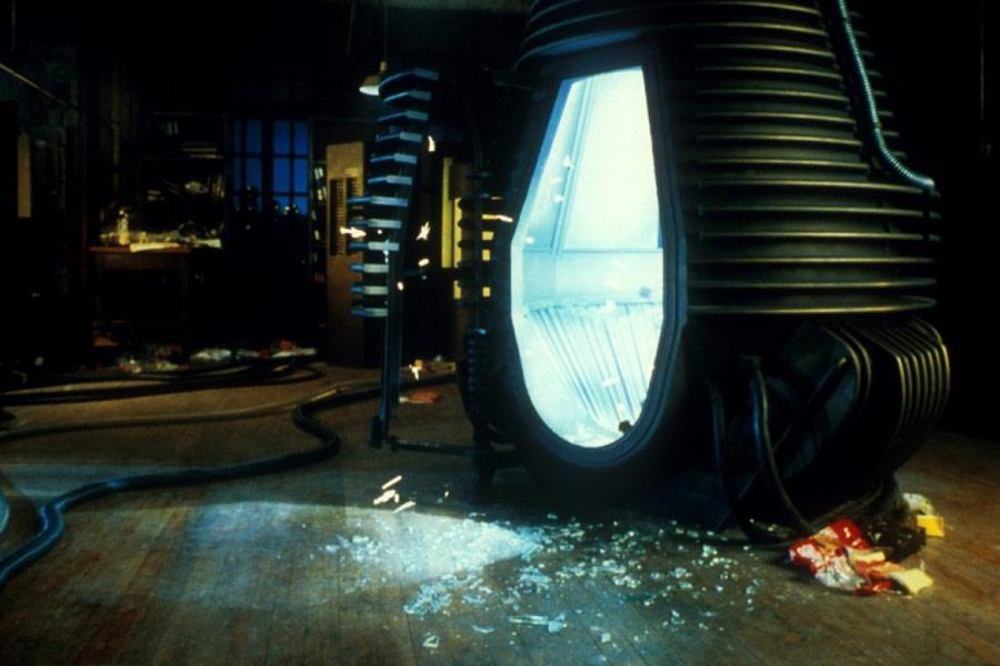 Фото - Муха: 900x600 / 59.46 Кб