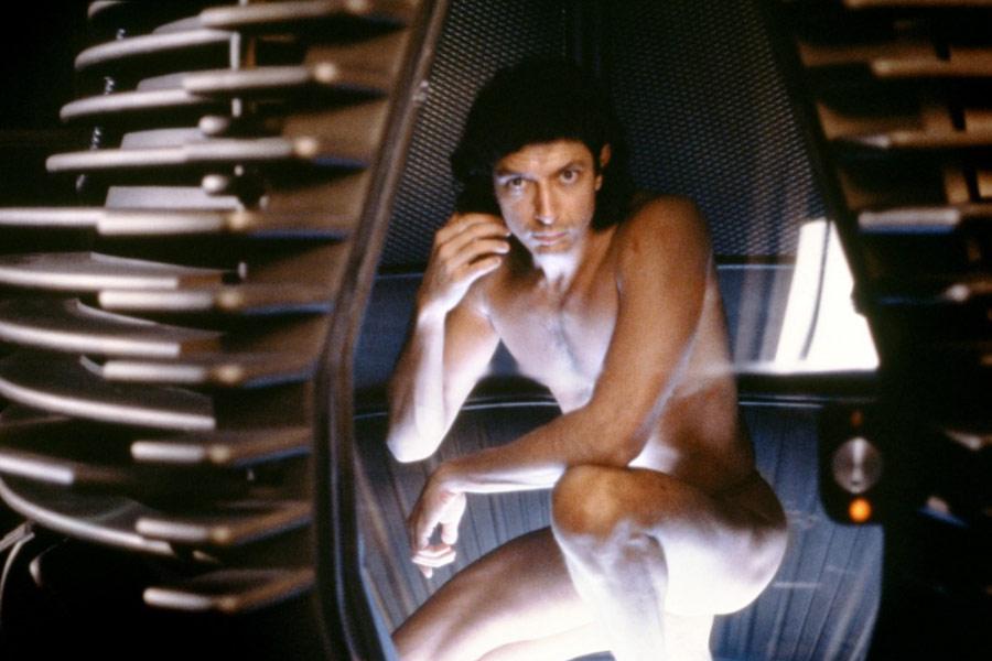 Фото - Муха: 900x600 / 63.55 Кб