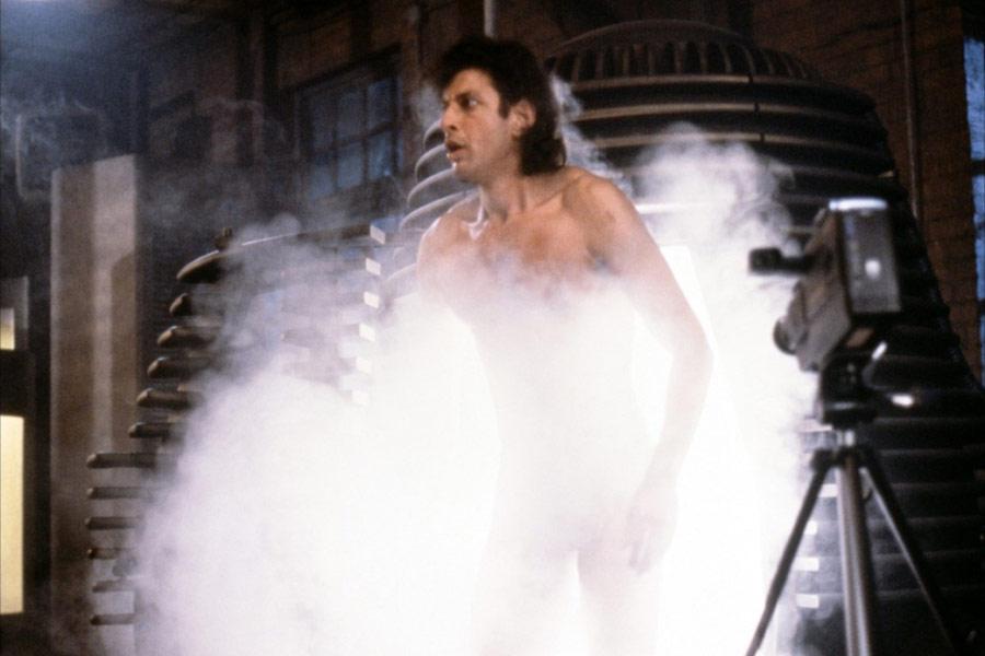 Фото - Муха: 900x600 / 51.17 Кб