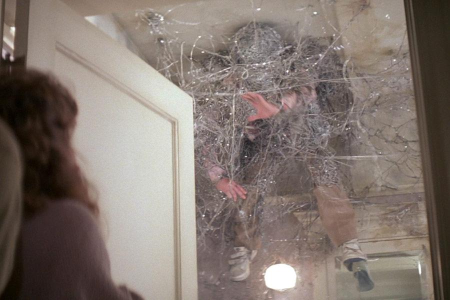 Фото - Полтергейст 2: Обратная сторона: 900x600 / 65.58 Кб