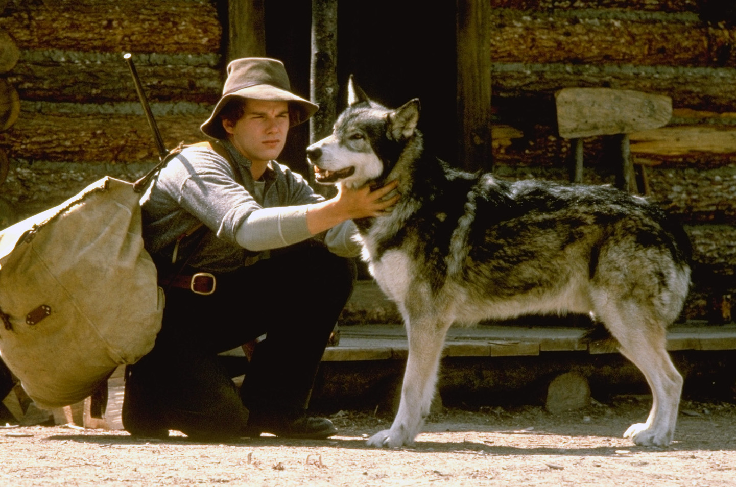 Фото - Белый клык: 1441x954 / 418.11 Кб