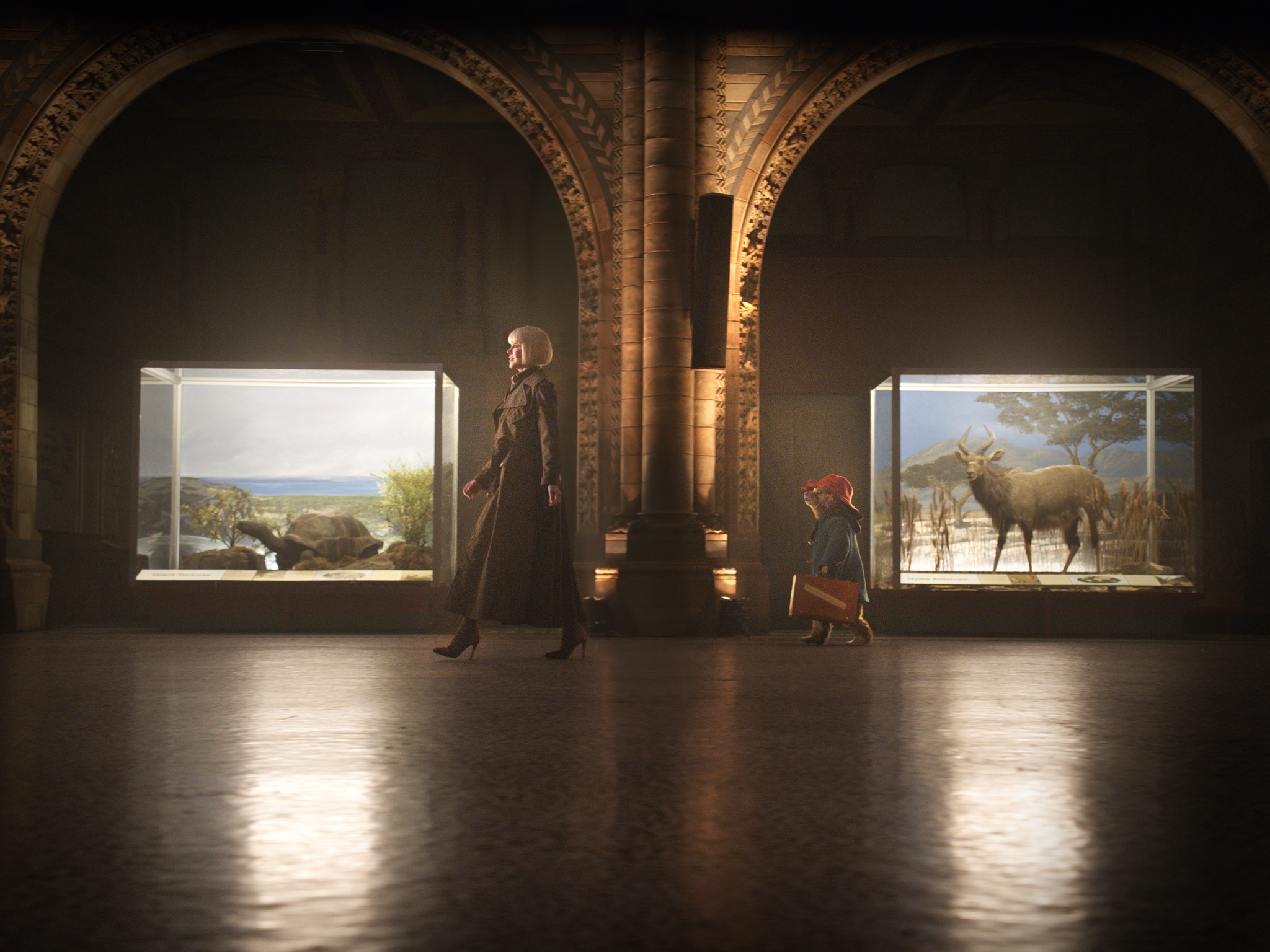 Фото - Приключения Паддингтона: 2048x1536 / 706.48 Кб