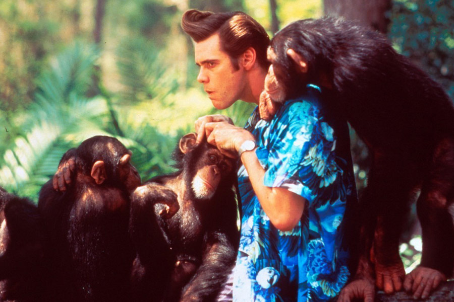 Фото - Эйс Вентура 2: Когда зовет природа: 900x600 / 120.24 Кб