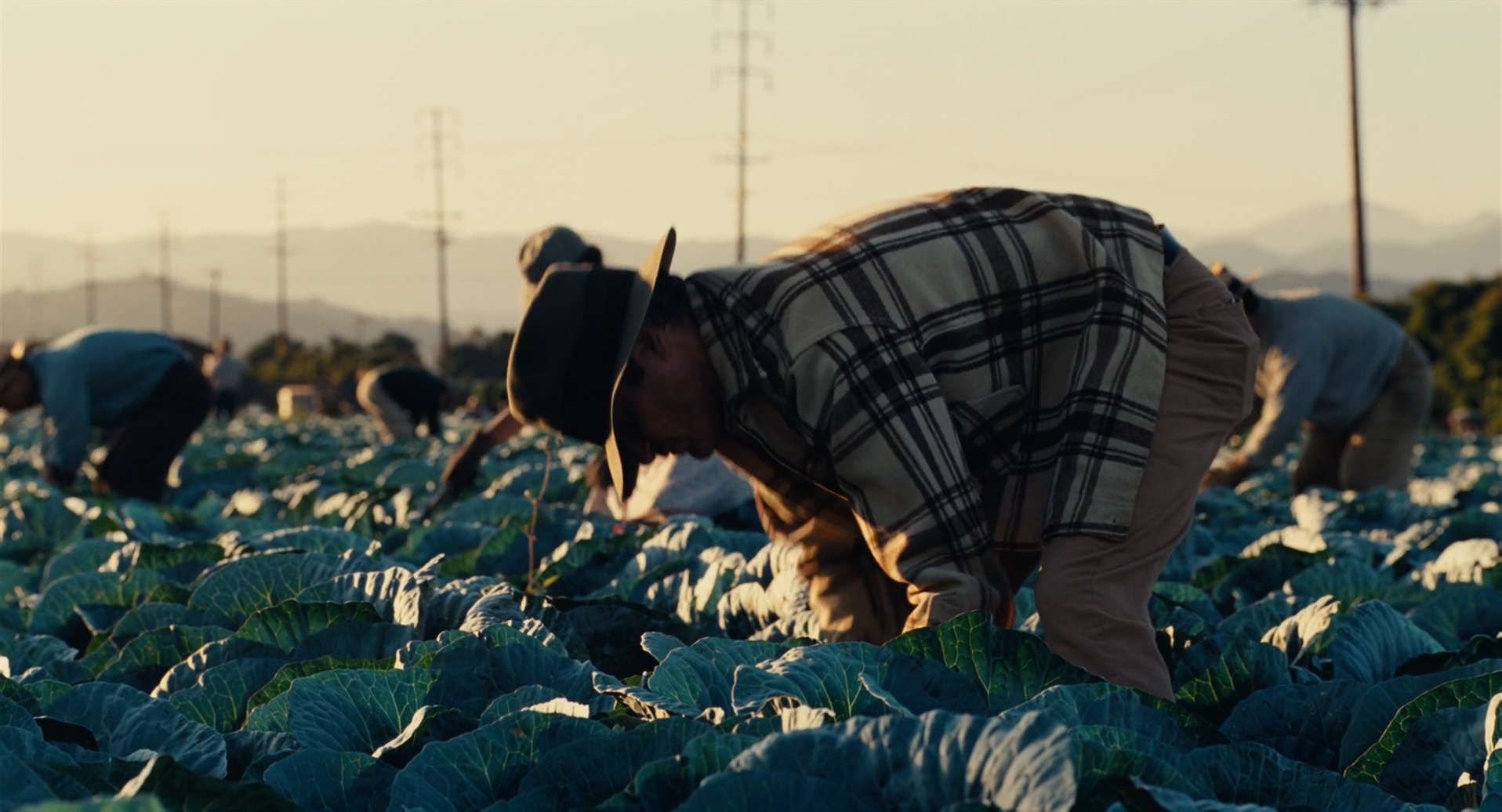 Фото - Мастер: 1916x1036 / 950.52 Кб