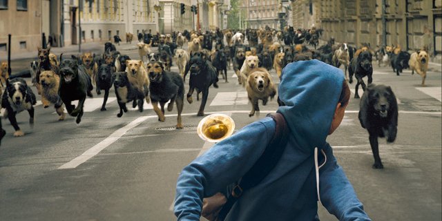 Фото - Белый Бог: 640x320 / 51 Кб