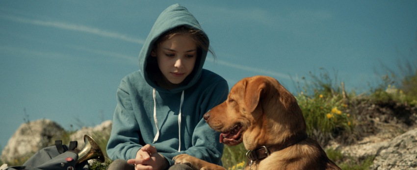 Фото - Белый Бог: 850x347 / 68.99 Кб