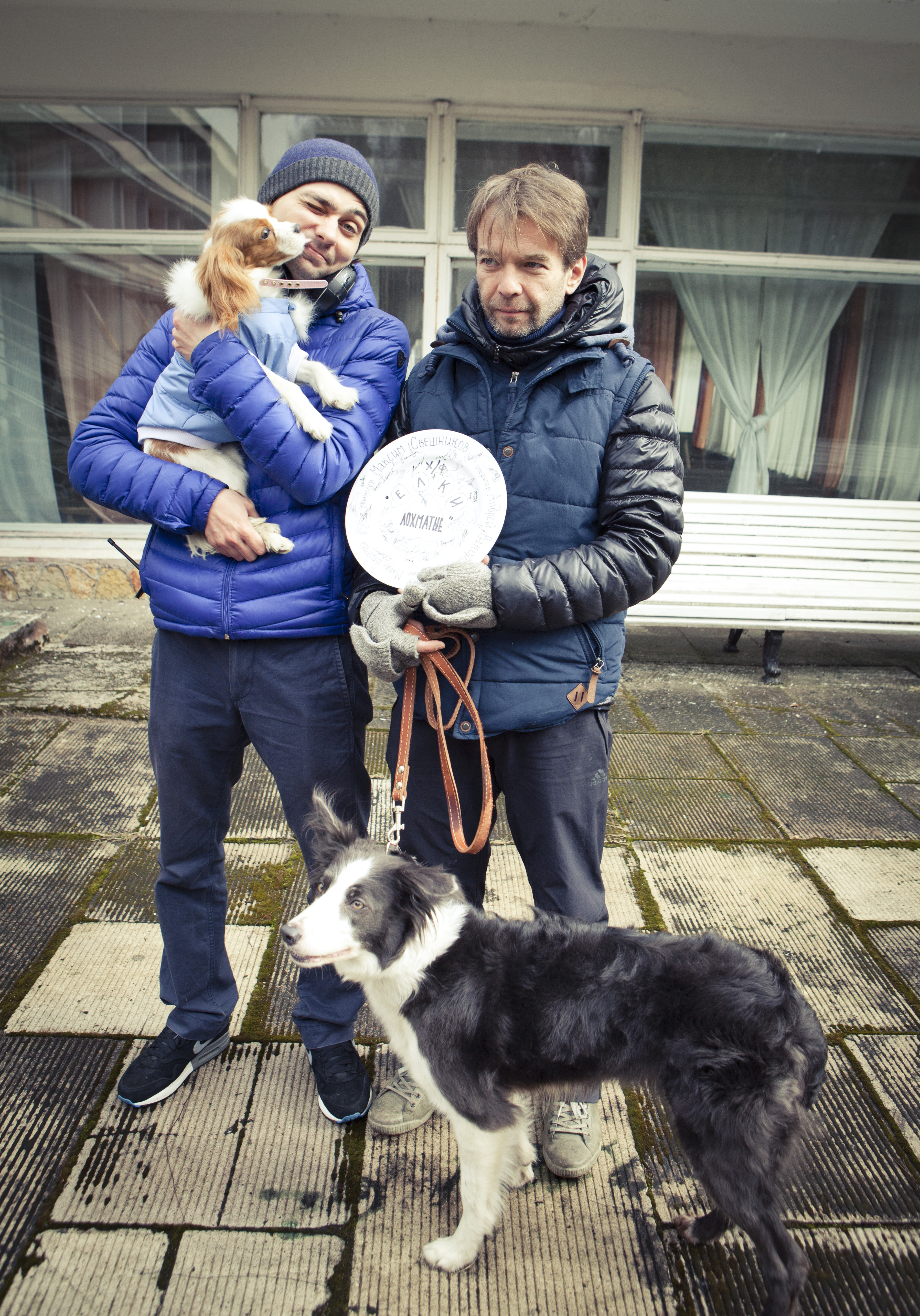 Фото - Елки лохматые: 3594x5138 / 5365 Кб