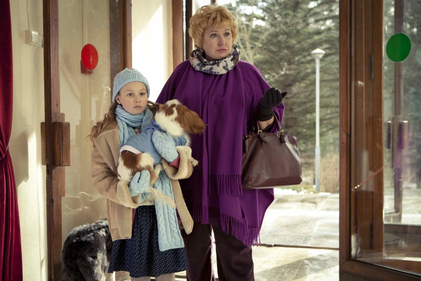 Фото - Елки лохматые: 850x567 / 143.73 Кб