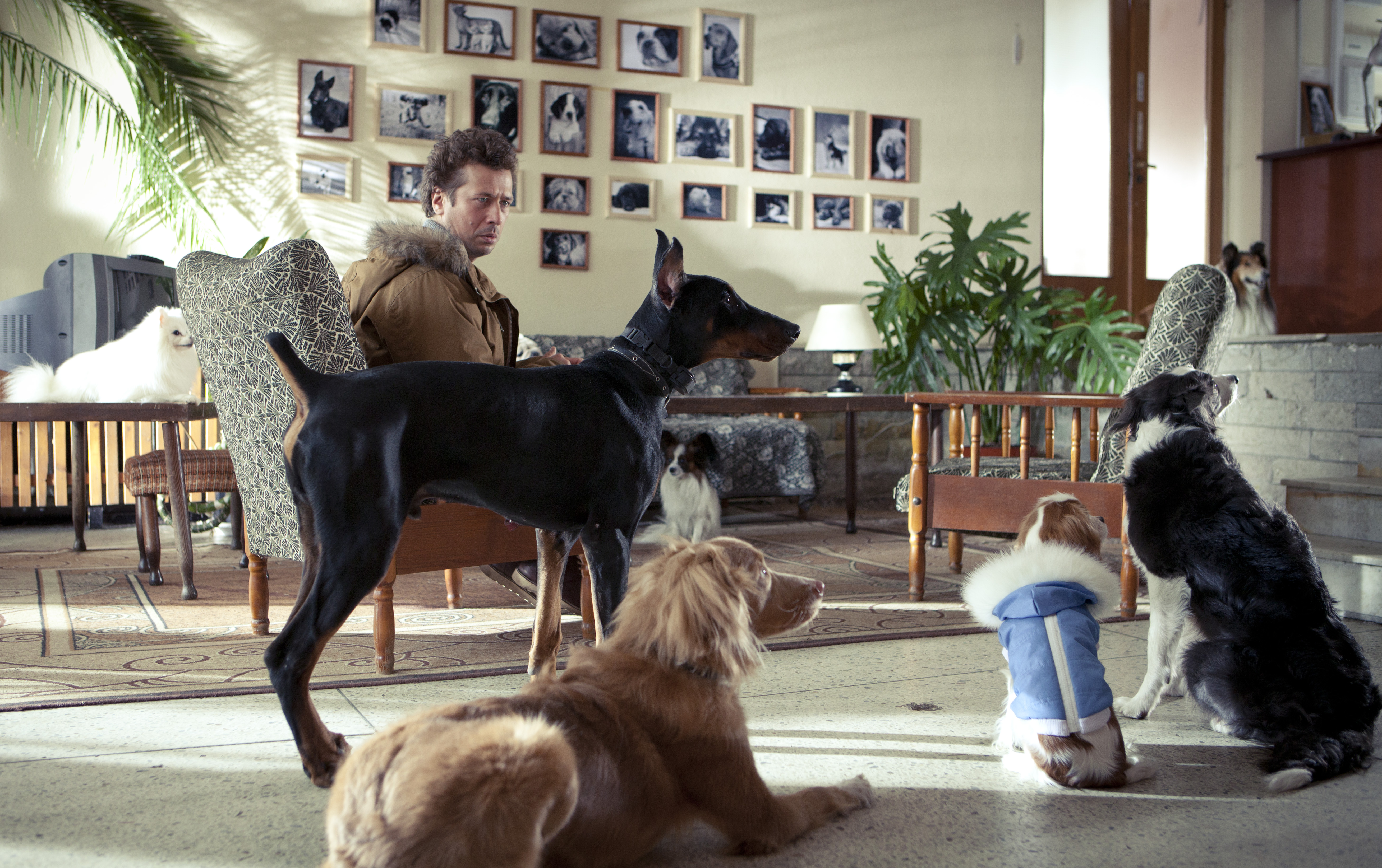 Фото - Елки лохматые: 5228x3286 / 4098.22 Кб