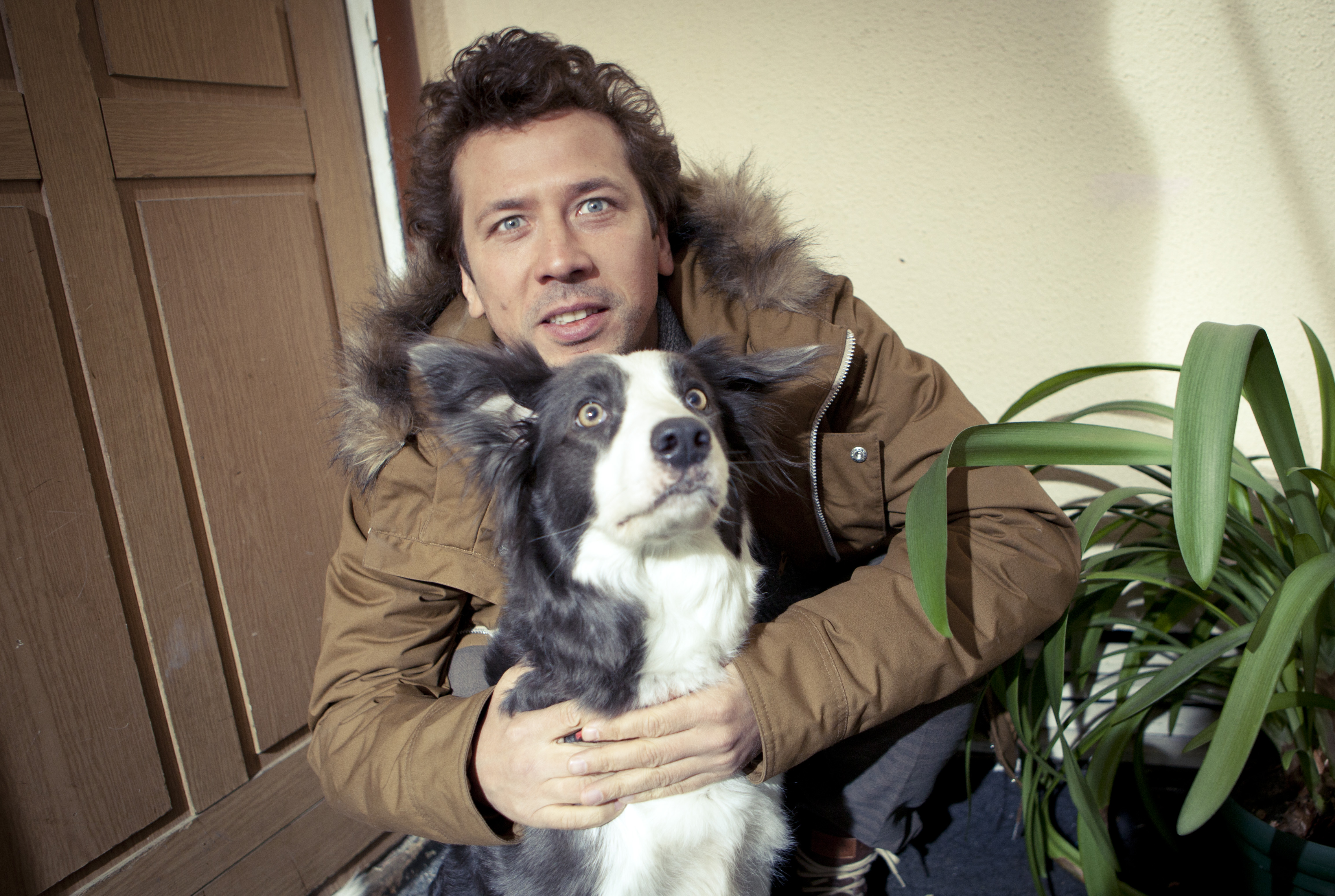 Фото - Елки лохматые: 4615x3097 / 3247.86 Кб