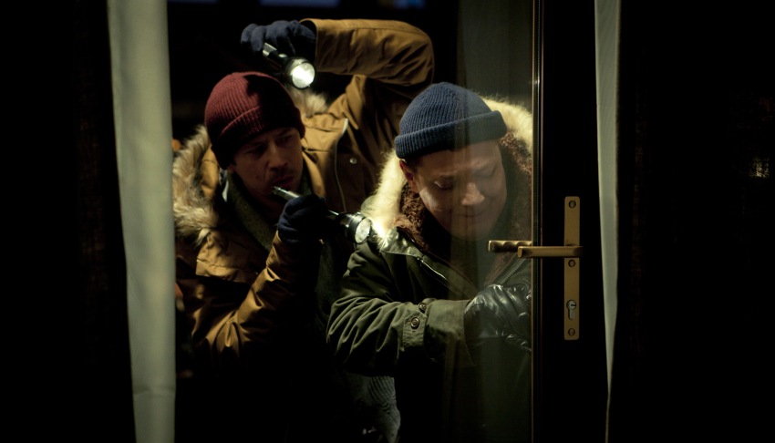 Фото - Елки лохматые: 850x486 / 66.24 Кб