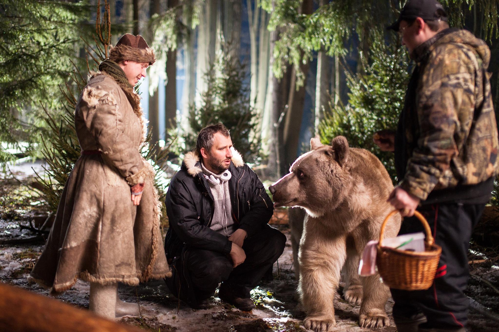 Фото - Елки 1914: 2048x1365 / 393.21 Кб