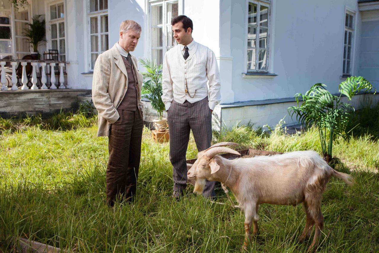 Фото - Елки 1914: 1280x853 / 454.31 Кб