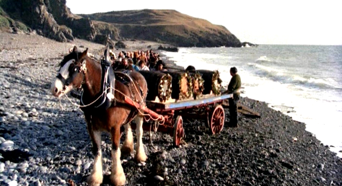 Фото - Плетеный человек: 704x384 / 224.68 Кб