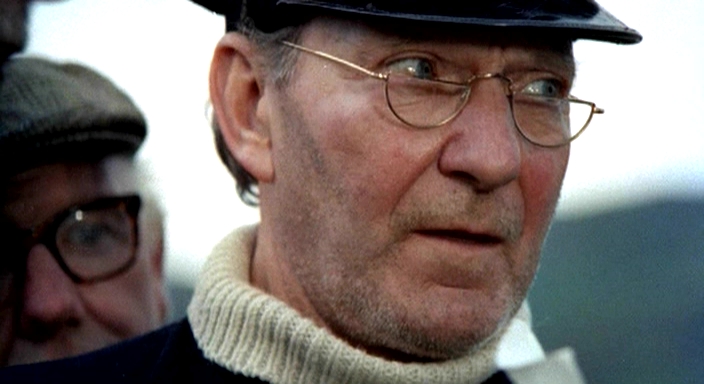 Фото - Плетеный человек: 704x384 / 152.3 Кб