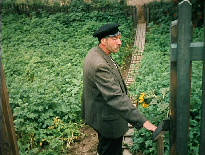 Фото - Любовь и голуби: 720x544 / 685.73 Кб