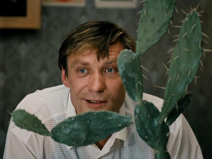 Фото - Любовь и голуби: 704x528 / 211.96 Кб