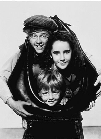 Фото - Национальный бархат: 329x450 / 28 Кб