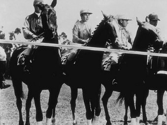 Фото - Национальный бархат: 339x255 / 24 Кб