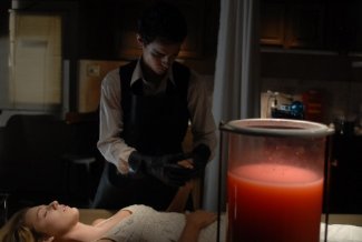 Фото - Элвис и Анабелль: 325x218 / 11 Кб