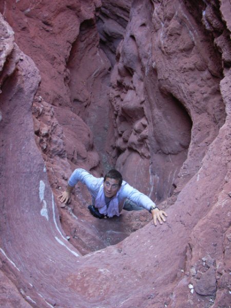 Фото - Выжить любой ценой: 450x600 / 64 Кб